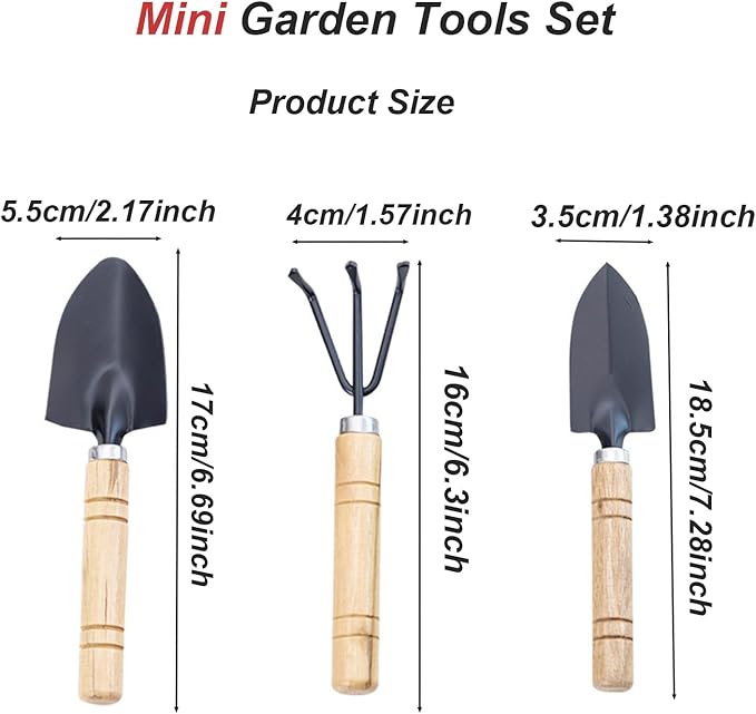 3 Piece Mini Garden Tool Set with Wooden Handles, Hand Trowel, Shovel & Rake for Succulents, Bonsai & Indoor Plants - WebLuxes Store
