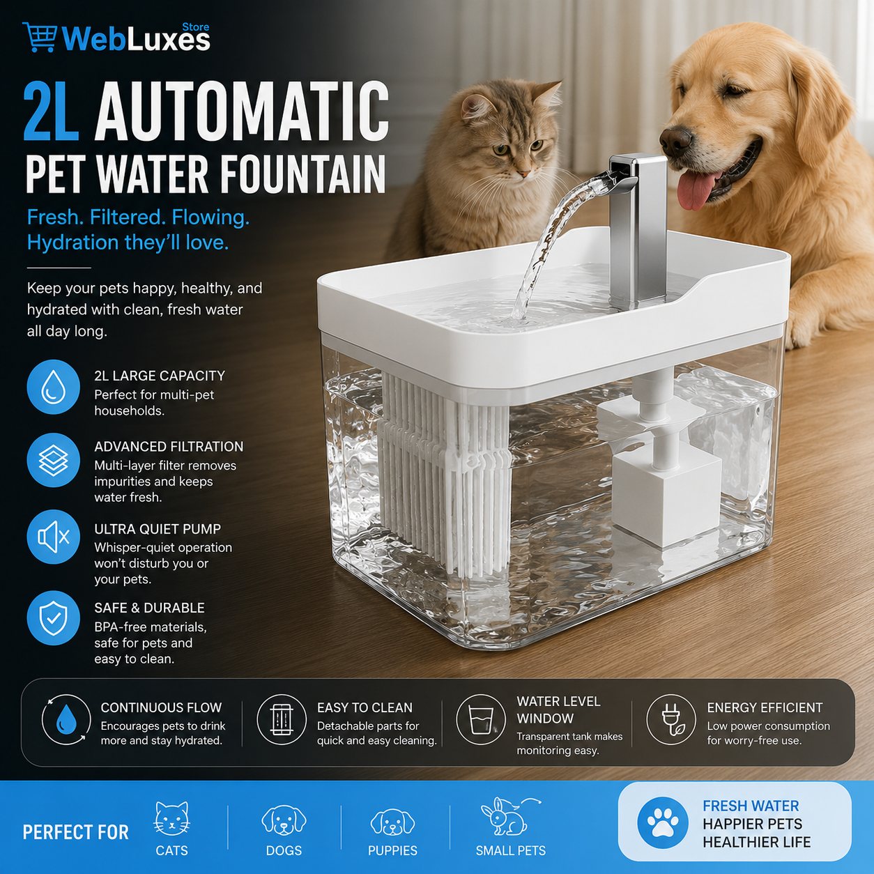 2L Automatic Pet Water Fountain, Large Capacity Filtered Water Dispenser for Cats, Dogs, Puppies & Small Pets