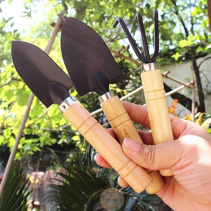 3 Piece Mini Garden Tool Set with Wooden Handles, Hand Trowel, Shovel & Rake for Succulents, Bonsai & Indoor Plants - WebLuxes Store