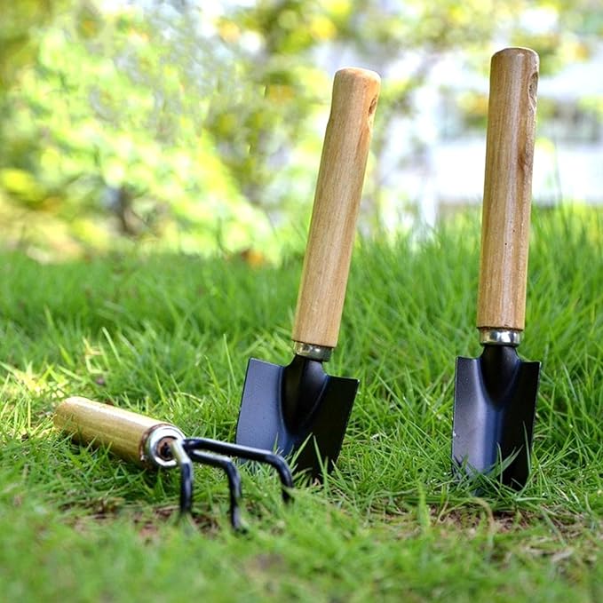 3 Piece Mini Garden Tool Set with Wooden Handles, Hand Trowel, Shovel & Rake for Succulents, Bonsai & Indoor Plants - WebLuxes Store