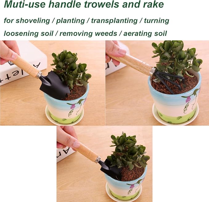 3 Piece Mini Garden Tool Set with Wooden Handles, Hand Trowel, Shovel & Rake for Succulents, Bonsai & Indoor Plants - WebLuxes Store