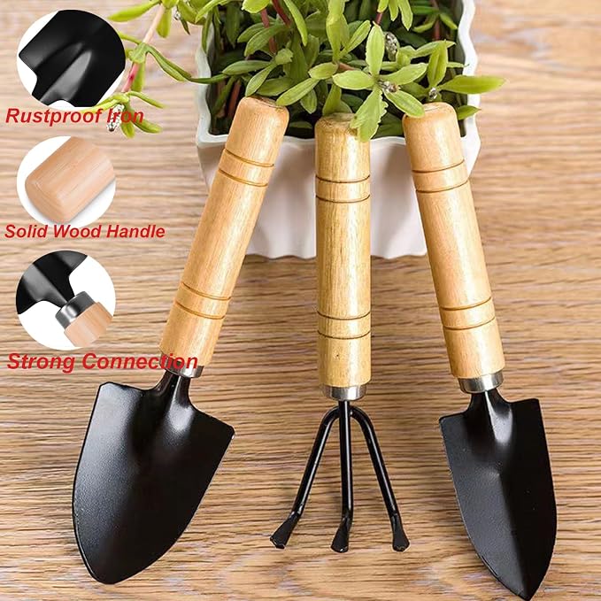 3 Piece Mini Garden Tool Set with Wooden Handles, Hand Trowel, Shovel & Rake for Succulents, Bonsai & Indoor Plants - WebLuxes Store