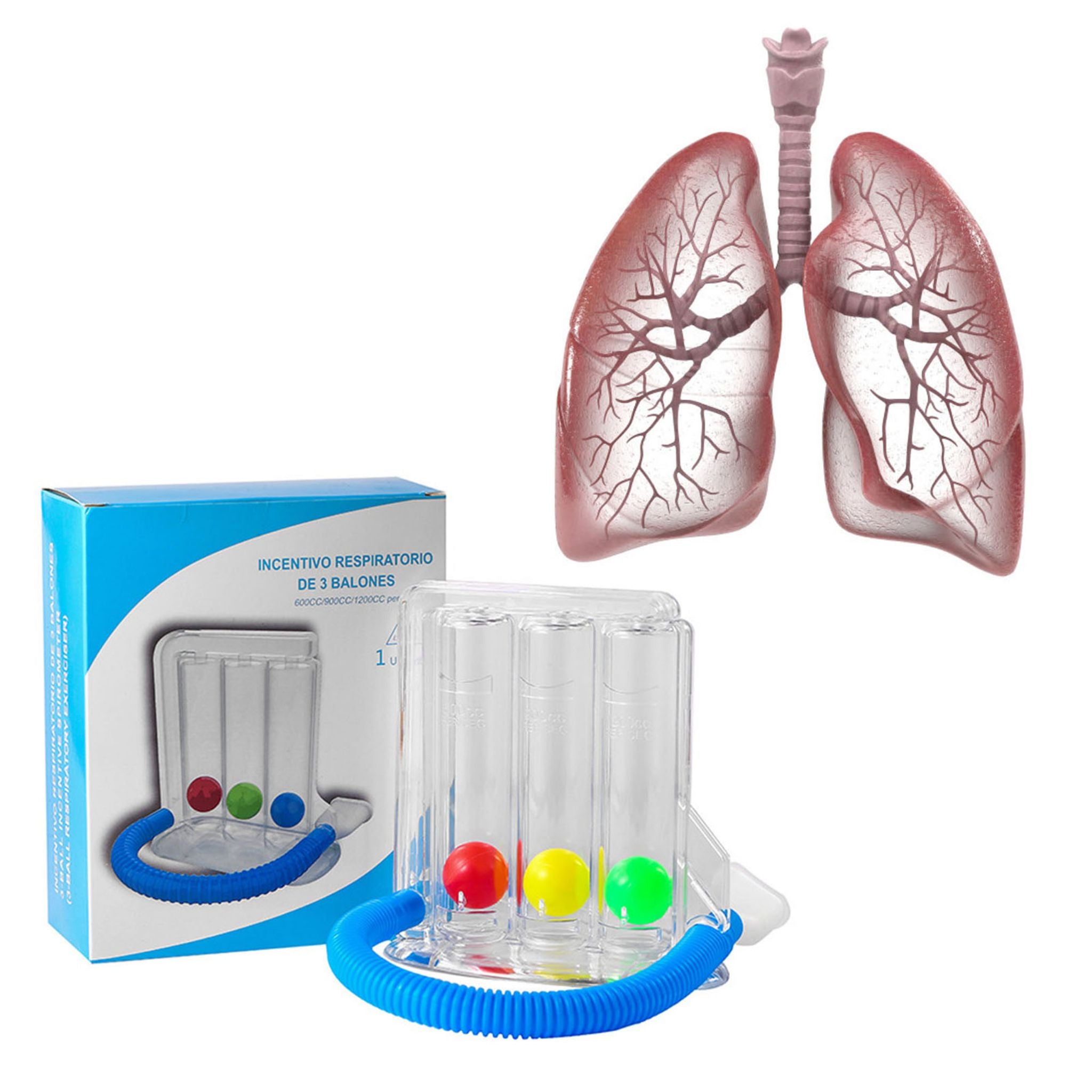 3 & 4 Ball Breathing Trainer Respiratory Lung Exercise Device for Breath Training - Web Luxes