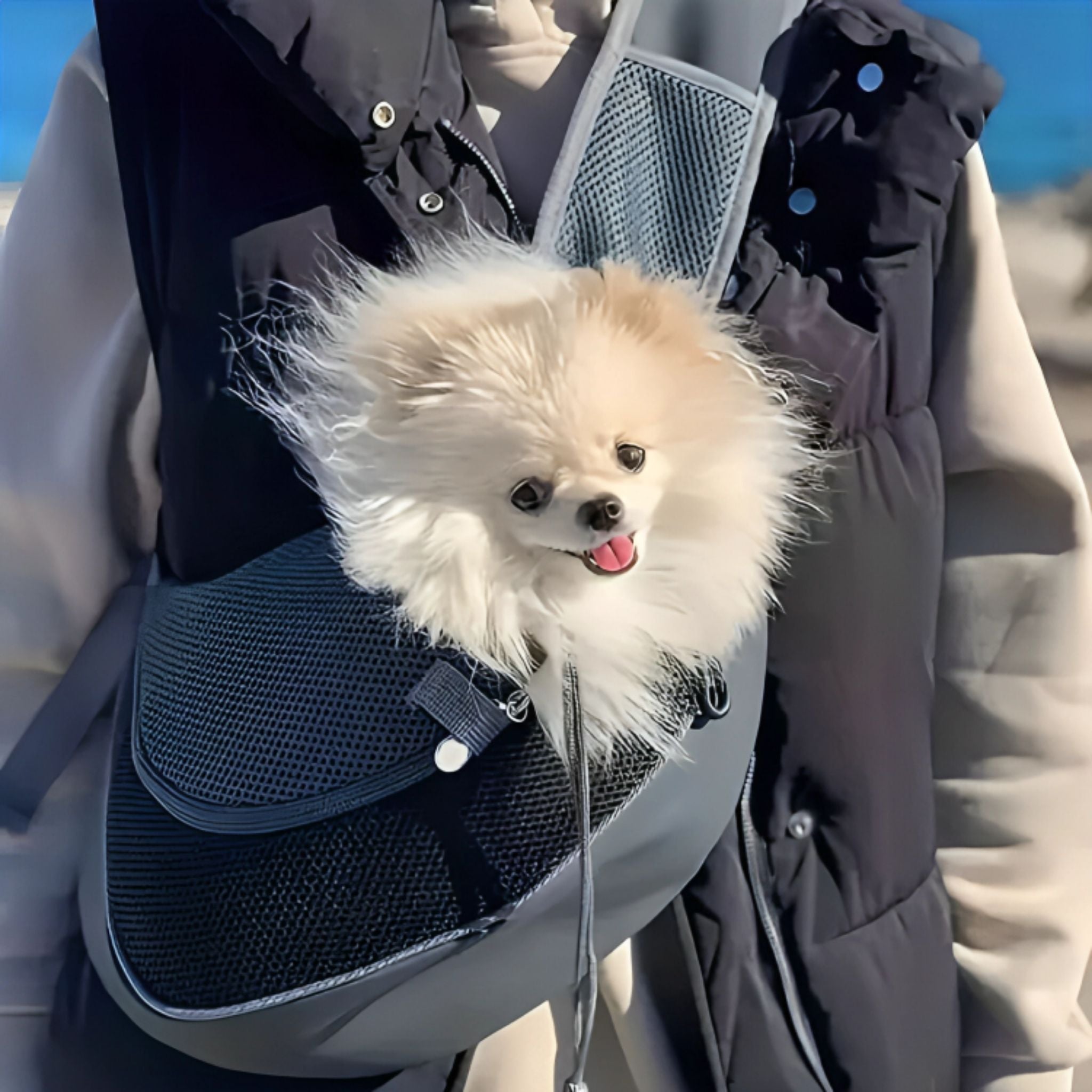 Breathable Pet Sling Carrier Backpack for Small Dogs & Cats - Web Luxes
