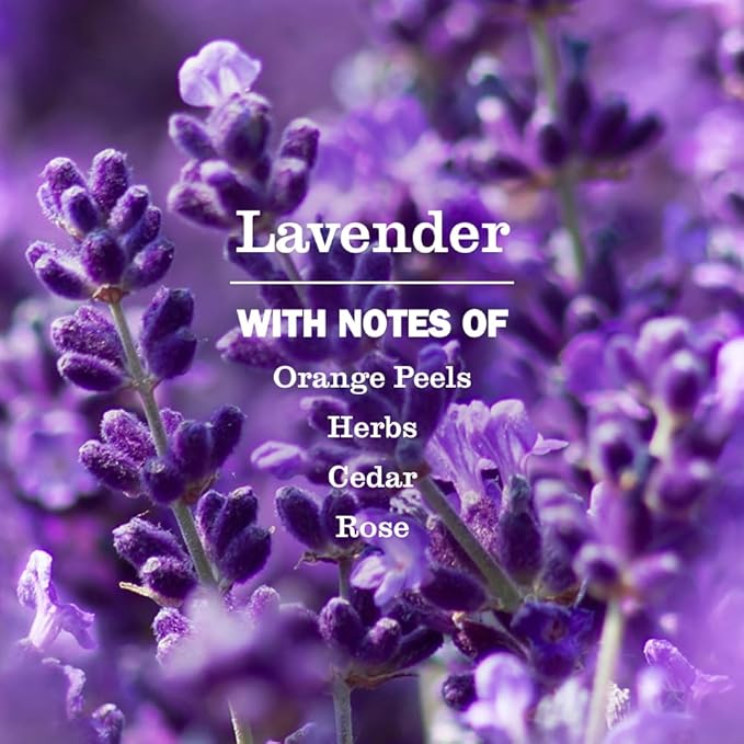 Lavender Foaming Hand Soap Refill 33 fl oz Plant-Based Liquid Hand Wash for Kitchen & Bathroom, Moisturizing Formula - WebLuxes Store