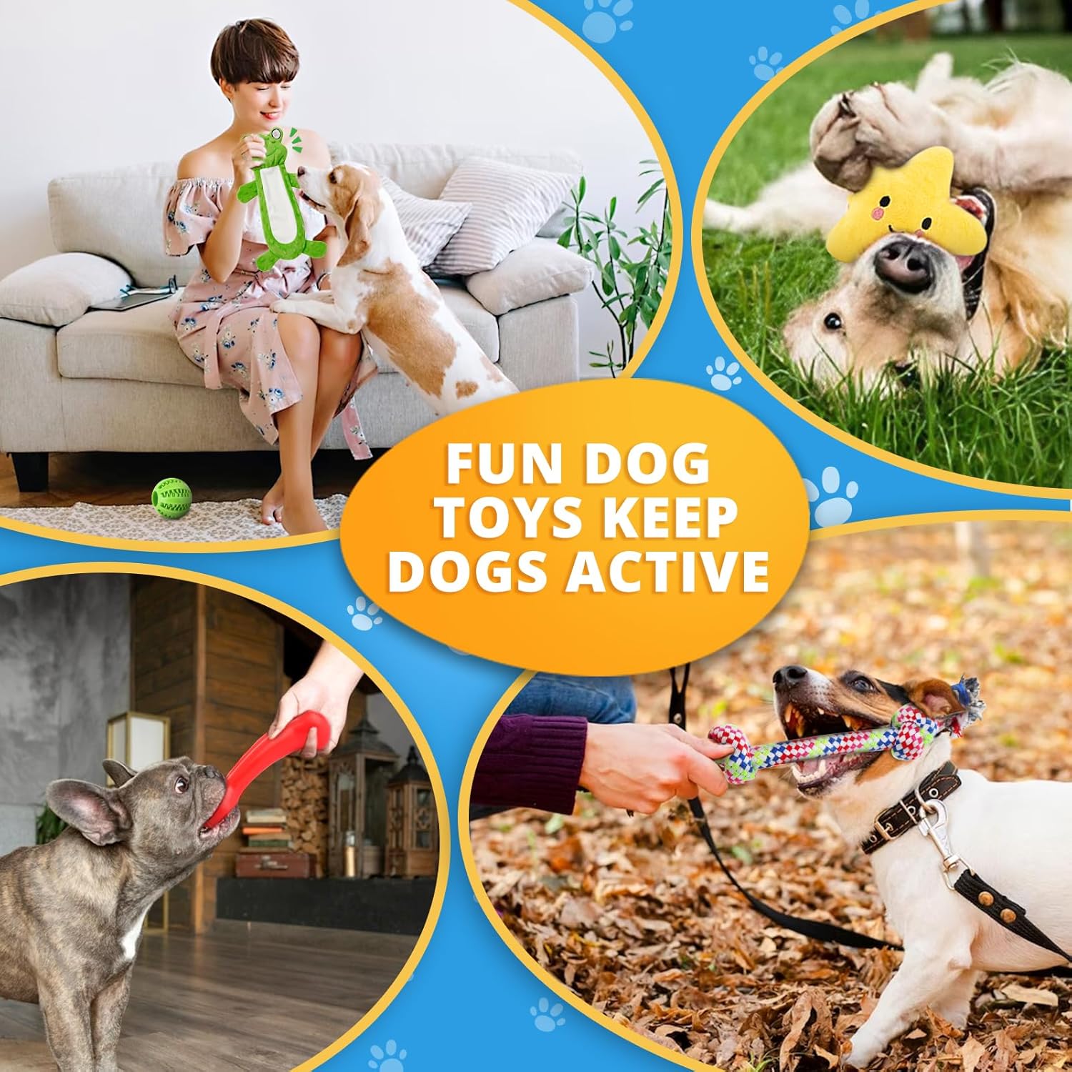 Puppy Toy Set for Small Dogs – Plush Squeaky, Rope, Chew Ball & Teething Toys