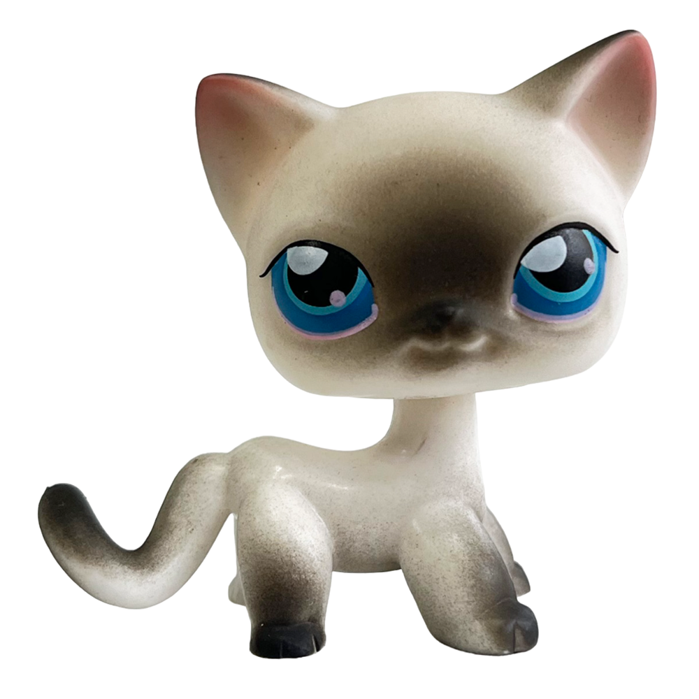 Rare Pet Bobblehead Toy