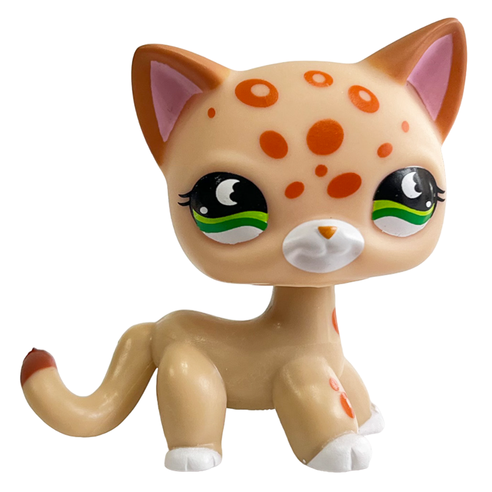 Rare Pet Bobblehead Toy