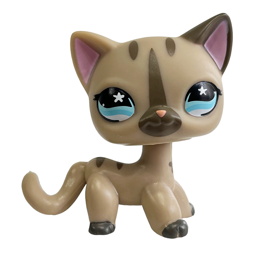 Rare Pet Bobblehead Toy