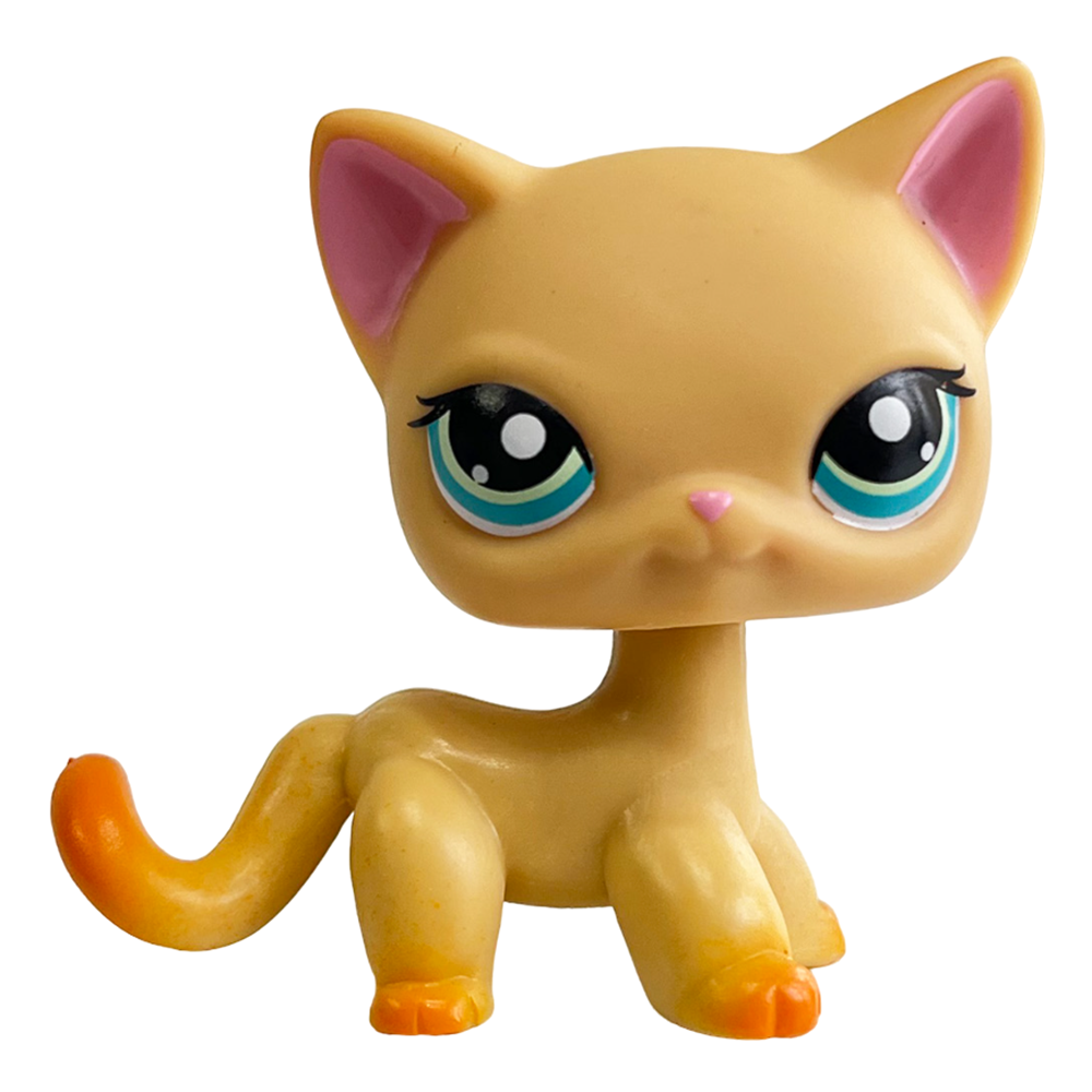 Rare Pet Bobblehead Toy