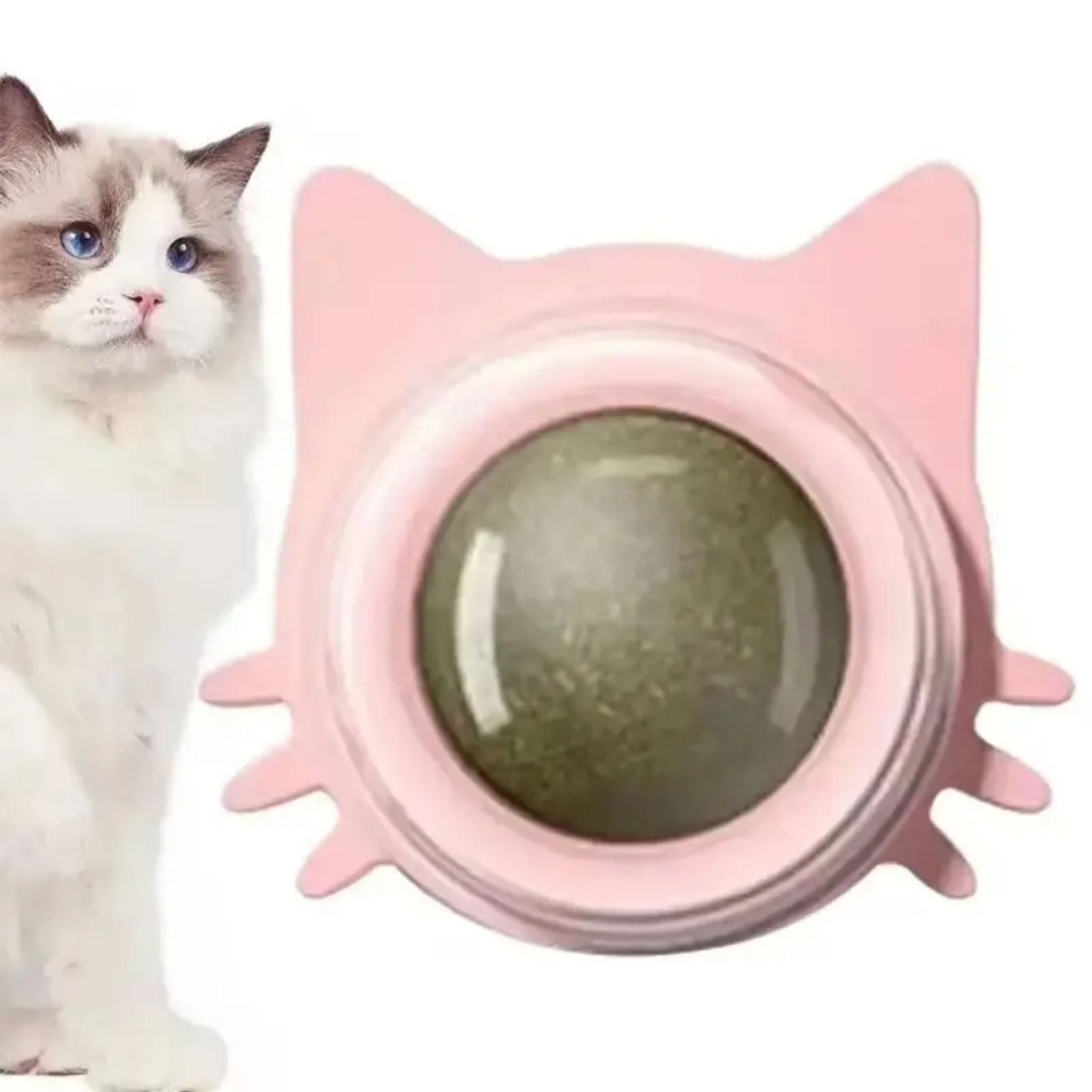 Rotating Catnip Ball Wall-Mounted Interactive Licking Toy for Cats