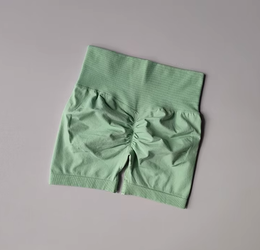 Women's High Waist Sports Shorts Quick Dry Activewear