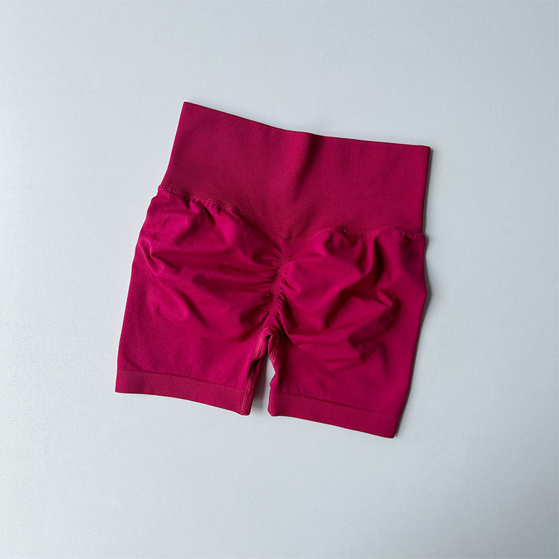 Women's High Waist Sports Shorts Quick Dry Activewear